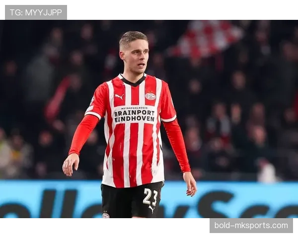 埃因霍温青训实力持续提升，人才输出表现稳健